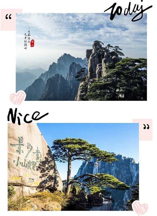 球赛下注平台app官网