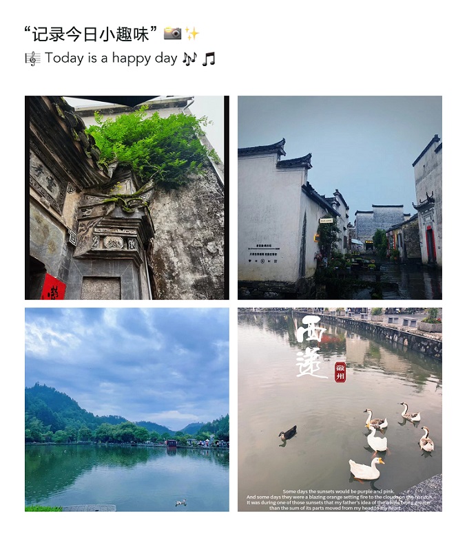 球赛下注平台app官网