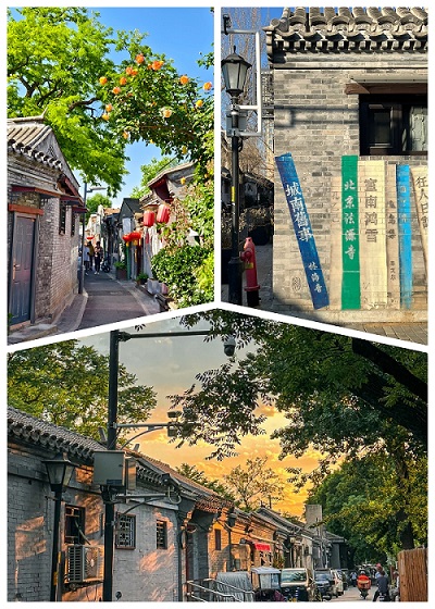 球赛下注平台app官网